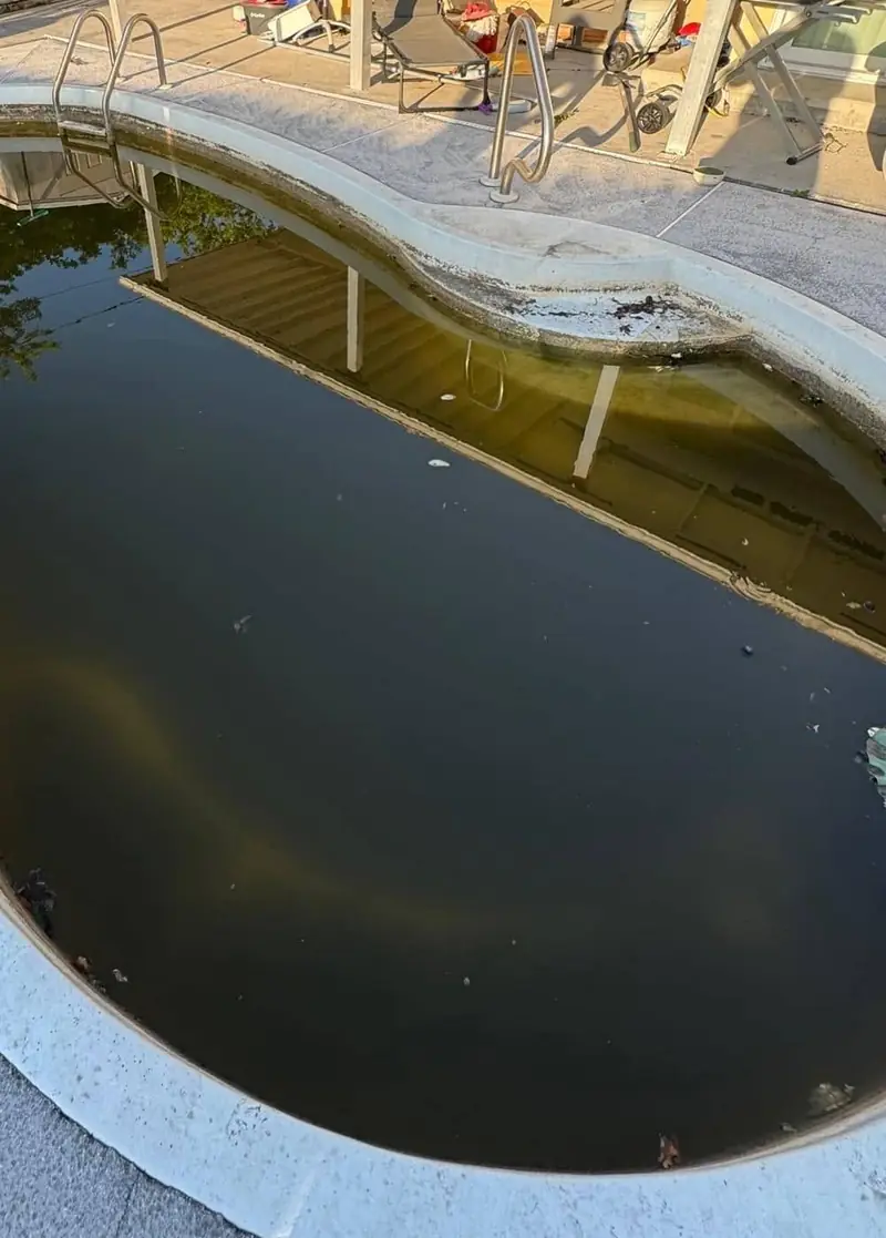 Before: neglected kidney pool with dark green water